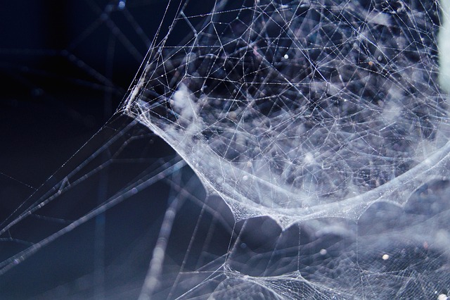 5g-netværket – sådan vil det revolutionere vores hverdag